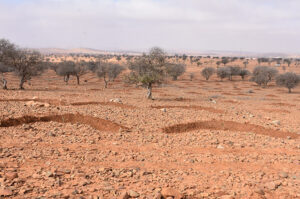 terrain3