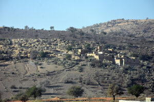 terrain7